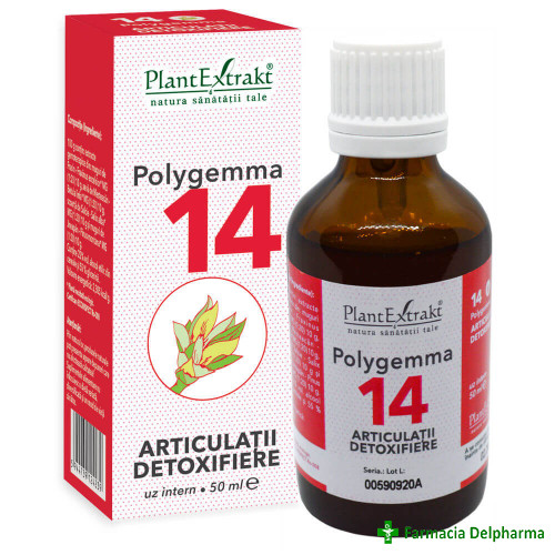 Polygemma 14 Articulatii Detoxifiere x 50 ml, PlantExtrakt