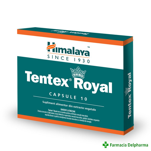 Tentex Royal x 10 caps., Himalaya