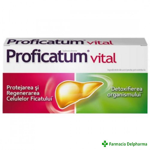 Proficatum Vital x 60 caps., Aflofarm