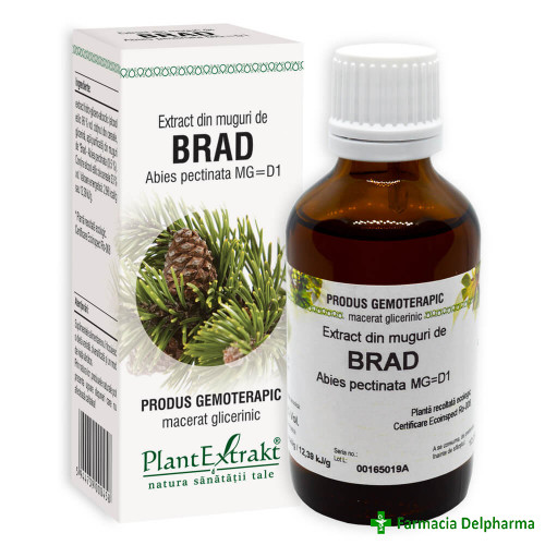 Extract din Muguri Brad x 50 ml, PlantExtrakt