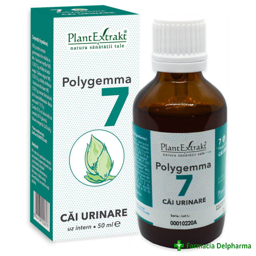 Polygemma nr. 7 cai urinare x 50 ml