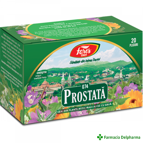 Ceai prostata dz g74 x 20 plicuri