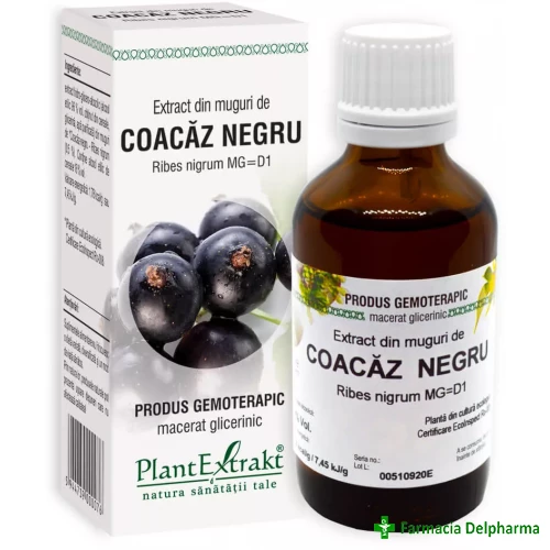Extract din Muguri Coacaz Negru x 50 ml, PlantExtrakt