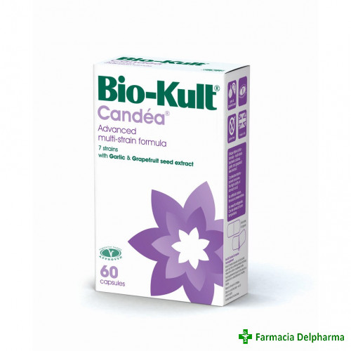 Bio-Kult Candea x 60 caps., Protexin