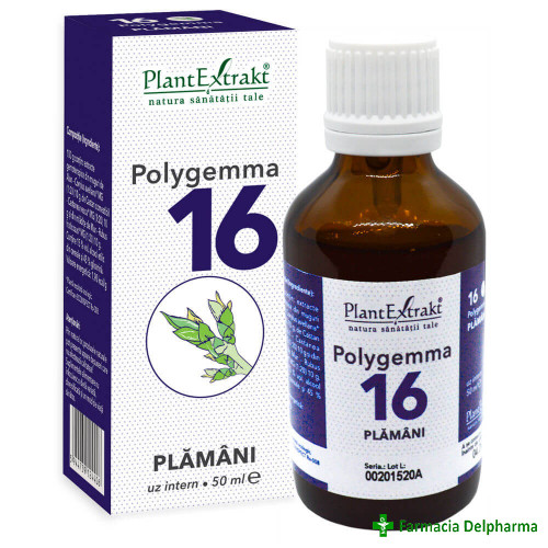 Polygemma 16 Plamani x 50 ml, PlantExtrakt