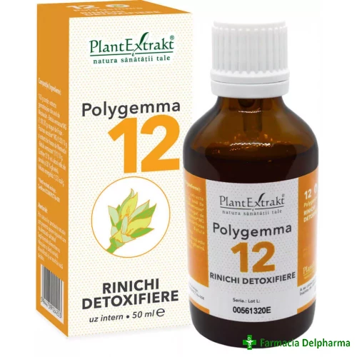 Polygemma 12 Rinichi Detoxifiere x 50 ml, PlantExtrakt
