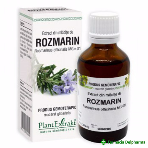 Extract din Mladite de Rozmarin x 50 ml, PlantExtrakt