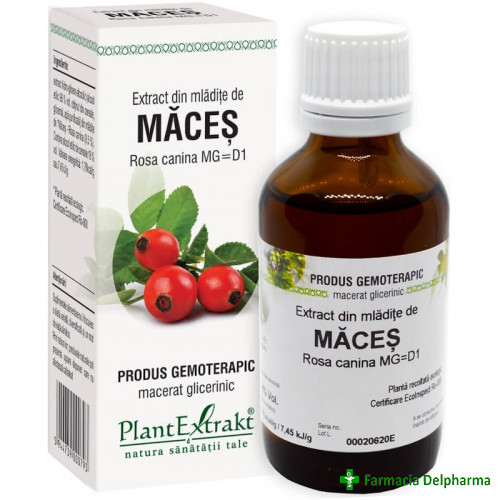 Extract din Mladite de Maces x 50 ml, PlantExtrakt