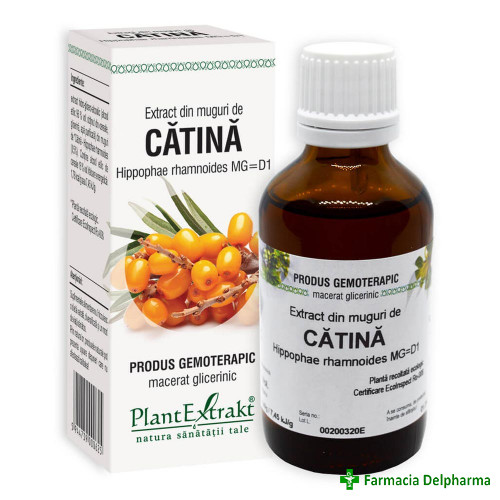 Extract din Muguri de Catina Alba x 50 ml, PlantExtrakt