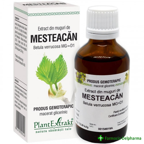 Extract din Muguri de Mesteacan x 50 ml, PlantExtrakt