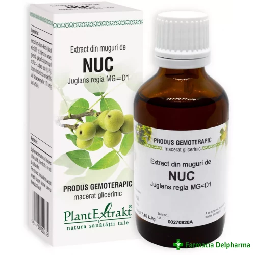 Extract din Muguri de Nuc x 50 ml, PlantExtrakt