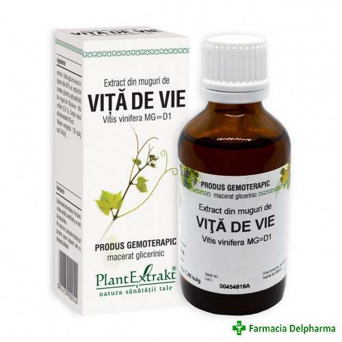 Extract din Muguri de Vita de Vie x 50 ml, PlantExtrakt