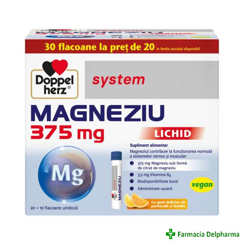 Magneziu lichid solutie orala 375 mg x 30 flacoane, Doppelherz