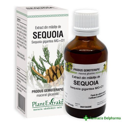 Extract din Mladite de Sequoia x 50 ml, PlantExtrakt