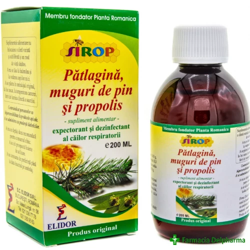 Sirop Patlagina + Pin + Propolis x 200 ml, Elidor