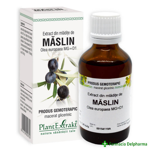 Extract din Mladite de Maslin x 50 ml, PlantExtrakt
