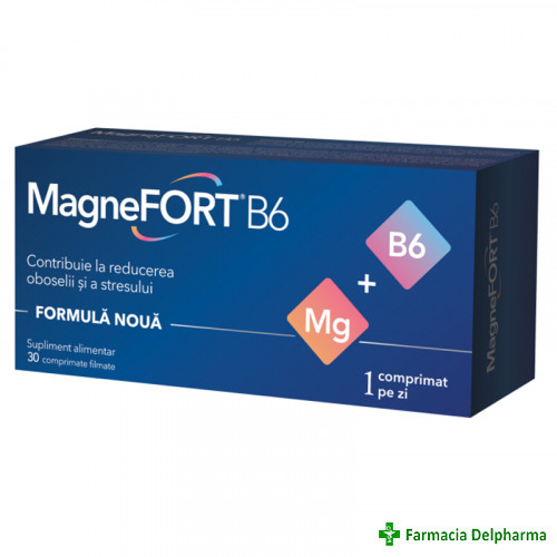 MagneFORT B6 x 30 compr., Biofarm