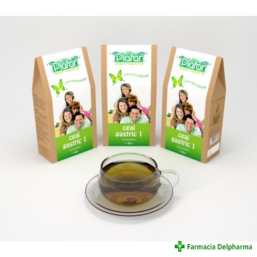 Ceai Gastric 1 x 50 g, Plafar