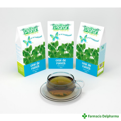 Ceai Roinita x 50 g, Plafar