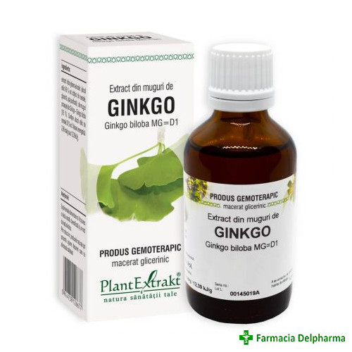 Extract din Muguri de Ginkgo x 50 ml, PlantExtrakt