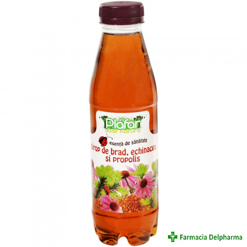 Sirop Muguri de Brad + Echinacea + Propolis x 500 ml, Plafar