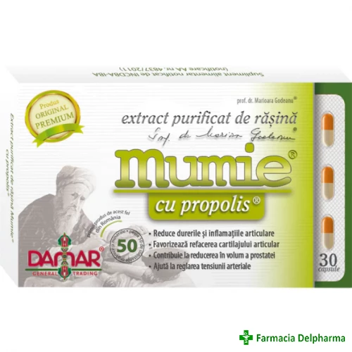 Mumie cu Propolis Extract purificat de rasina x 30 caps., Damar