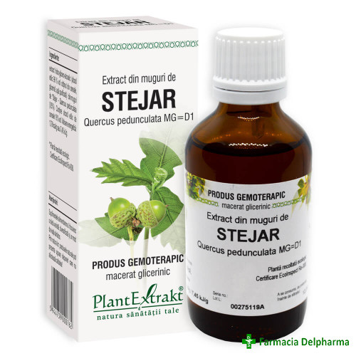 Extract din Muguri de Stejar x 50 ml, PlantExtrakt