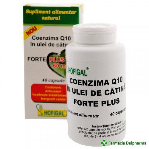 Coenzima Q10 Forte Plus 60 mg in Ulei de Catina x 40 caps., Hofigal
