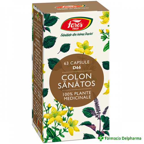 Colon Sanatos D66 X 63 caps., Fares