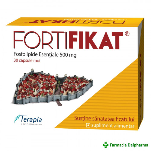 Fortifikat x 30 caps., Terapia