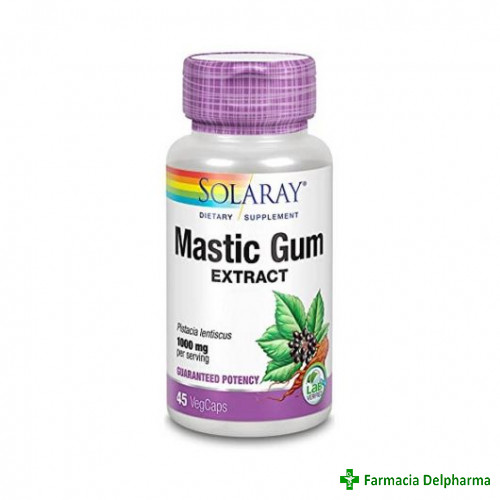 Mastic Gum 500 mg Solaray x 45 caps, Secom