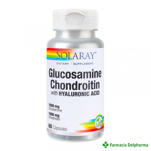 Glucosamine Chondroitin Hyaluronic Acid Solaray x 60 caps., Secom