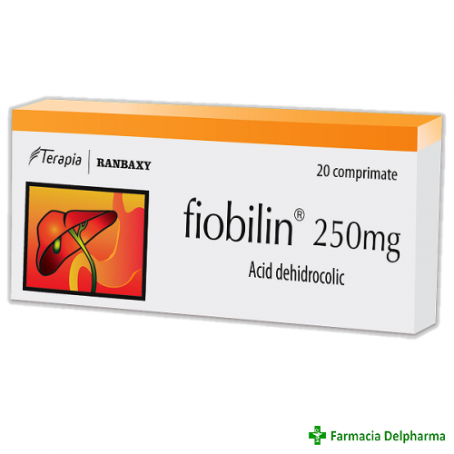 Fiobilin 250 mg x 20 compr., Terapia