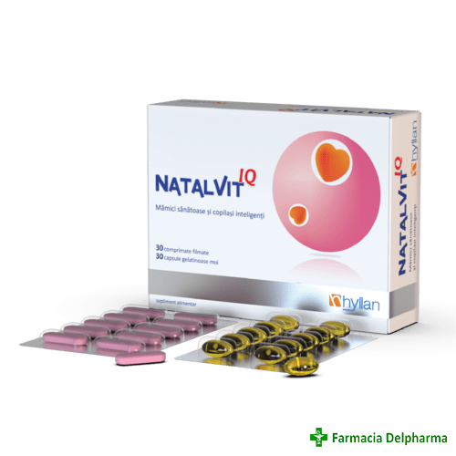 Natalvit IQ x 30 compr. + 30 caps., Hyllan